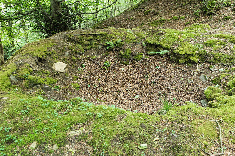 Graig Quarry limekiln